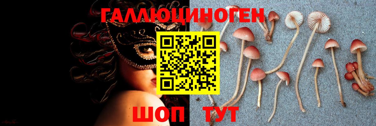 Коломна  Галлюциногенные грибы MAGIC MUSHROOMS  Вход с VPN 